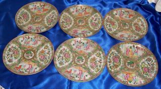Vintage Chinese Export Rose Medallion 6 Plates 7 1/2 Inches Circa 1800 