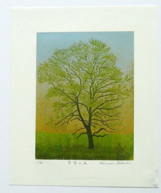 Limited Edition Japanese Woodblock Print By Takashi Hirose Sogen No Ki - Tree
