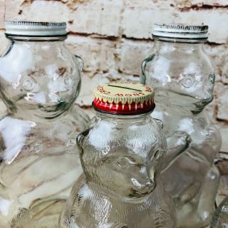 Vintage Snow Crest Bear Bottle Bank Clear Glass,  Salem,  Mass W/ Lid