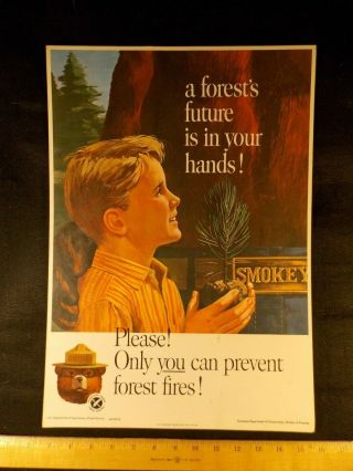 Vintage (1965) Smokey Bear " A Forest 