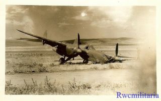 Org.  Photo: Crash Landed P - 38 Fighter Plane Nose Down In Field (2)