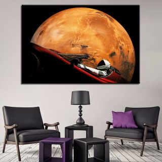 Spacex Falcon Heavy - Starman Occupy Mars - Space Exploration Elon Musk