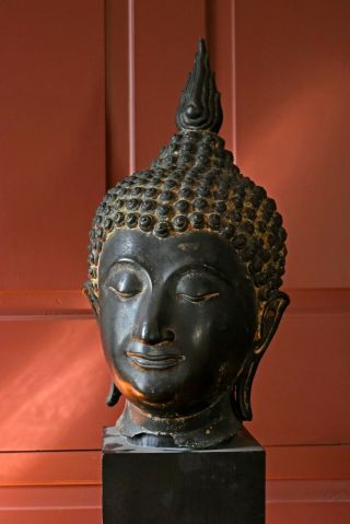 An Over Lifesize Antique Southeast Asian Thai Bronze Head Of Buddha Shakyamuni