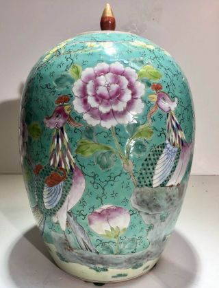 Antique Chinese Peranakan Nonya Straits Phoenix Bird Flower Porcelain Jar Vase 2