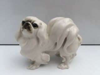Stunning White Pekingese Dog German Jhr Hutschenreuther Porcelain Figurine