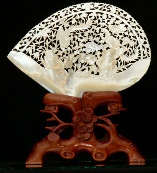 A Chinese Carved Mother Of Pearl Shell With Wooden Stand