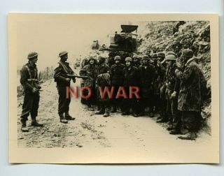 Wwii War Photo British Soldiers & German Pow Paratroopers In Camo