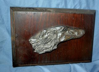 Borzoi Russian Wolfhound Lead Profile Of Head Mounted On Wood Plaque