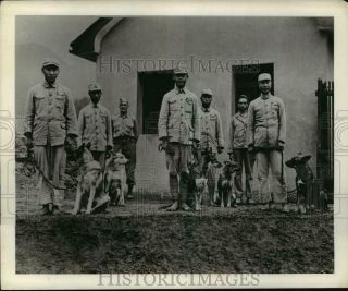 1945 Press Photo Chunking,  Chinese Guerrillas Pose With Their Trained War Dogs