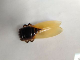 Vintage Phenolic Art Deco Cicada Beetle Brooch Pin