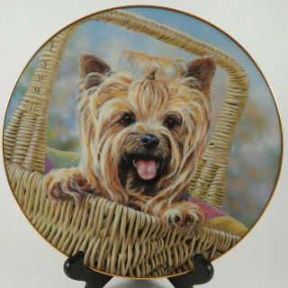 Danbury Yorkshire Terriers " Carry Me Home " Plate By Paul Doyle W/coa