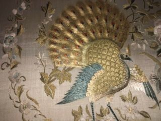 Antique Chinese Hand Embroidered Silk Paradise Bird Peacock Embroidery Panel