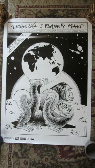 Escape From The Planet Of The Apes - (1971) - Polish 38x27 Poster - B/w