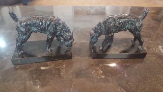 Vintage Bookends Dog Terrier,  Airedale,  Fox,  Welsh.  Black with some patina 2