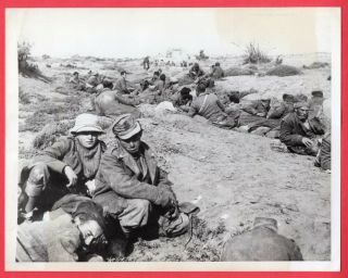 1943 Italians Captured By 8th Army At Mareth Line Tunisia News Photo