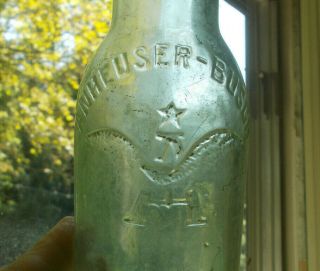 Anheuser Busch Emb Eagle Pre Prohibition Beer Bottle 100 Yr Old Privy Dug
