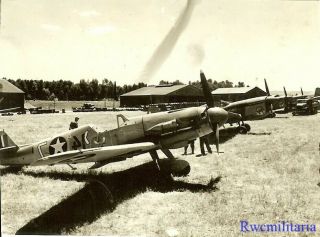 Org.  Photo: Captured Luftwaffe Me - 109 Fighter In Us Markings By P - 40 Fighters