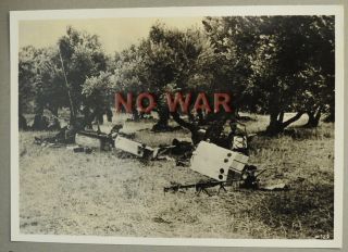 Wwii German War Photo Paratroopers Camp In Kreta / Crete After Landing