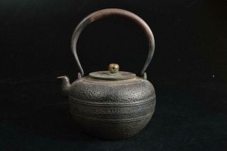 T8235: Japan Xf Old Iron Tea Kettle Teapot Tetsubin,  Ryubun - Do Made W/copper Lid