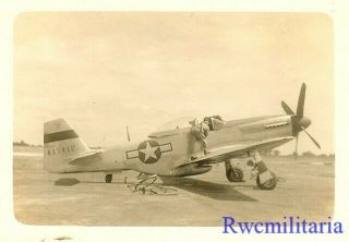 Org.  Nose Art Photo: P - 51 Fighter Plane (44 - 13412; Shot Down 1945) (1)