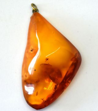 Large Vintage Natural Baltic Butterscotch Amber Pendant