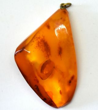 Large Vintage Natural Baltic Butterscotch Amber Pendant 2