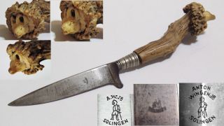 Vintage Anton Wingen Jr Solingen Fixed Blade Hunting Knife With Stag Horn Handle