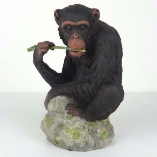 Chimpanzee Chewing Branch - Detailed Figurine Miniature 7.  25 " H