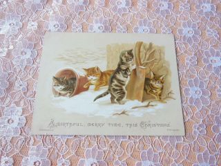 Victorian Christmas Card/cats Playing In The Snow/s.  Hildesheimer