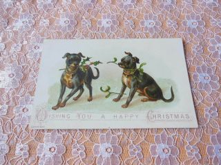 Victorian Christmas Card/dogs With Holly And Mistletoe In Their Mouths
