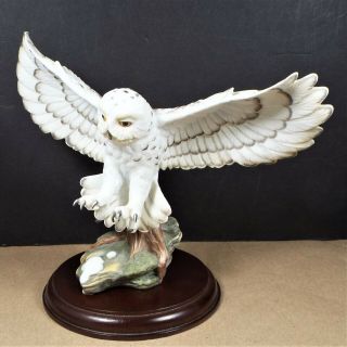 Maruri 1988 " Eyes Of The Night Snowy Owl " Fine Porcelain 0 - 8805,  A Owl