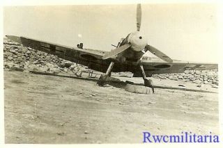 Org.  Photo: Us View Abandoned Luftwaffe Me - 109 Fighter Plane; North Africa (1)