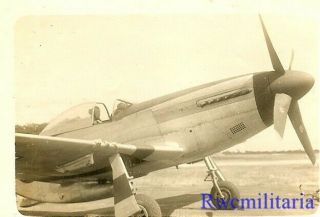Org.  Nose Art Photo: P - 51 Fighter Plane (44 - 13412; Shot Down 1945) (2)