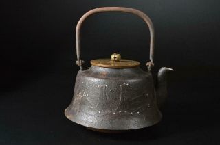 T6662: Japan Xf Old Iron Tea Kettle Teapot Tetsubin,  Ryubun - Do Made W/copper Lid