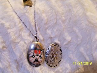 Hand Painted Yorkie On Locket And 16 " Chain