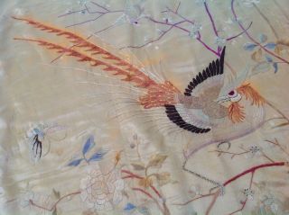 Antique Chinese Silk,  Hand Embroidered Qing Dynasty Phoniex Chinese/year Textile