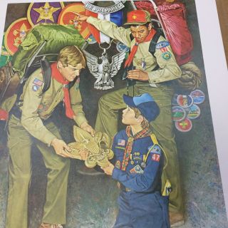 Boy Scout Poster 20 " X 16 " Values That Last A Lifetime