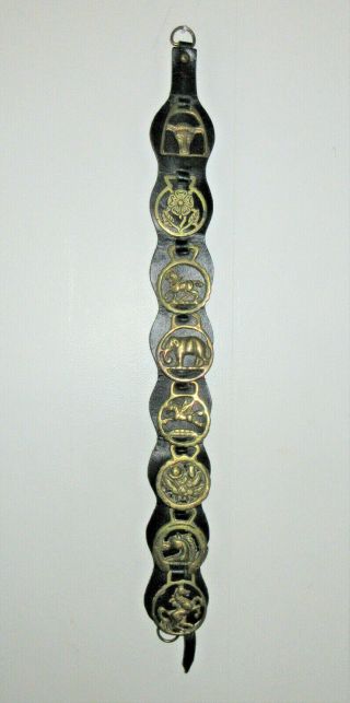Vtg Horse Brass Medallions 8 Small Ornaments On Leather Strap Bridle Harness