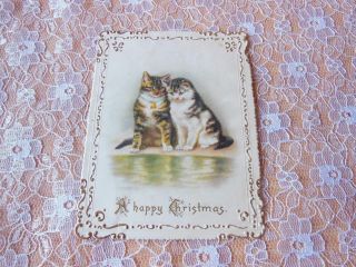 Victorian Christmas Card/cats Sitting By Water 