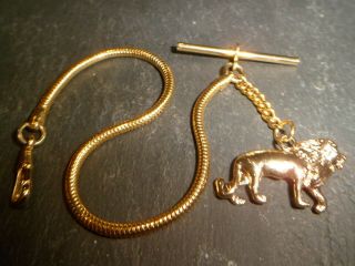 Vintage Gold Plated Albert Pocket Watch Chain And Lion Charm Fob