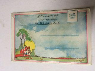 Vintage Postcard Folder,  Camp Aquehonga,  Ten Mile River,  Ny,  Bsa