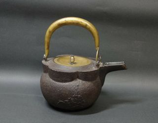 Meiji Late 19th Century Cast Iron Choshi Silver Covered Spout Pot Tetsubin