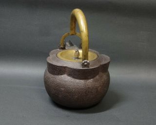 Meiji Late 19th century Cast Iron Choshi Silver Covered Spout Pot Tetsubin 2