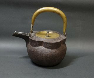 Meiji Late 19th century Cast Iron Choshi Silver Covered Spout Pot Tetsubin 3