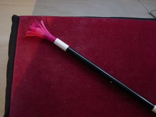 Props Blooming Wand.  Great Business For Children