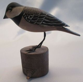 Hand Carved Black Capped Chickadee Songbird Decoy Marked Cw (brant) Glass Eyes
