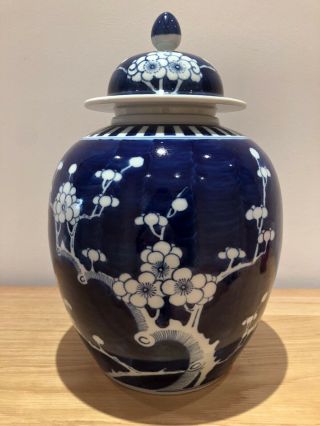 Huge Kangxi 19th C Chinese Blue & White Prunus Ginger Temple Jar Double Ring