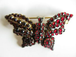 Antique Victorian Bohemian Garnet Butterfly Pin Brooch