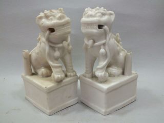 A Pair Chinese Porcelain Blanc - De - Chine Figures Of Seated Dogs Of Foe 19thc