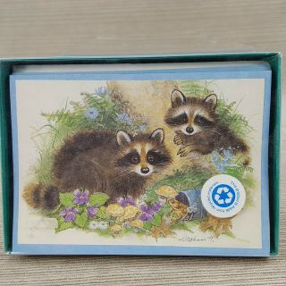 Vintage Raccoon Stationary 8 Note Cards & 8 Envelopes Usa Cape Shore 3.  5 X 5 "